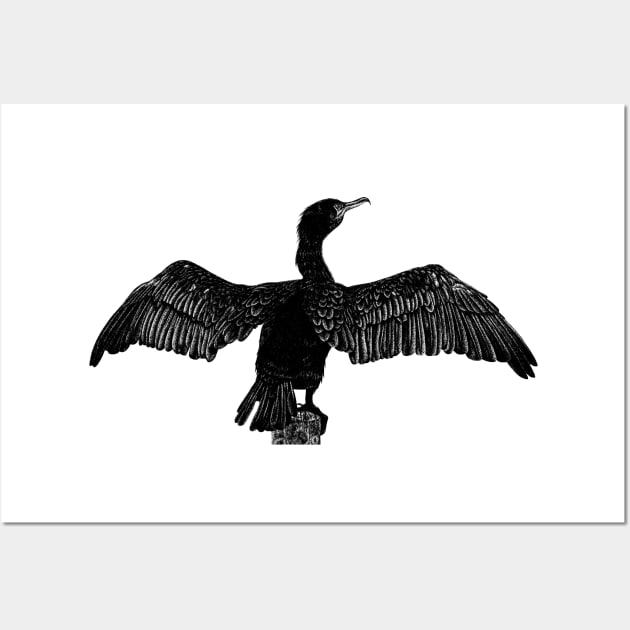 Cormorant drawing Wall Art by lorendowding